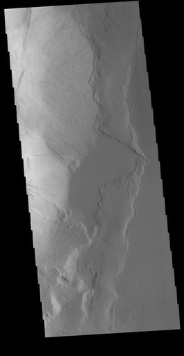 Olympus Rupes