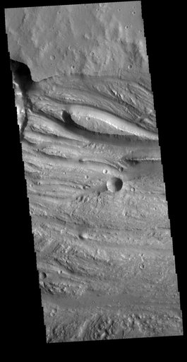 Ravi Vallis