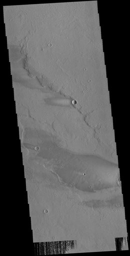 Daedalia Planum Windstreaks