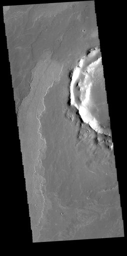 Daedalia Planum