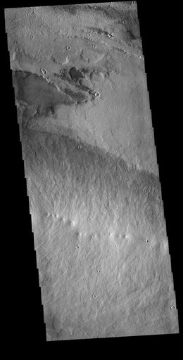 Daedalia Planum Vents