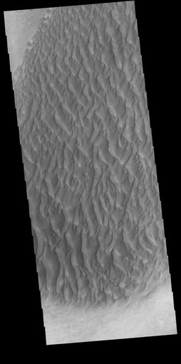 Proctor Crater Dunes