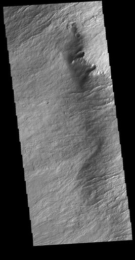 Olympus Rupes