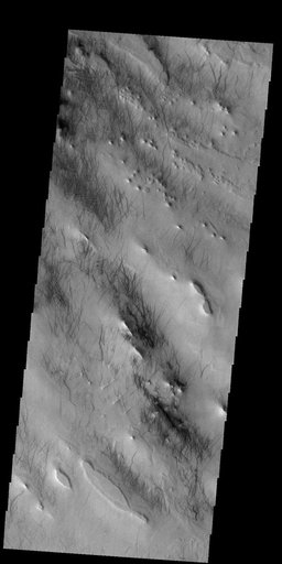 Dust Devil Tracks