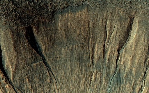 Old Features and New