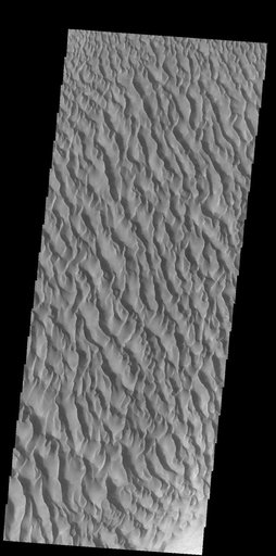 Proctor Crater Dunes