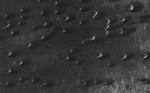 Dunes of the Southern Highlands