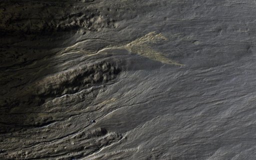 Distinctive Brightness