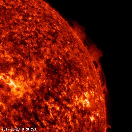 Hedgerow Prominence