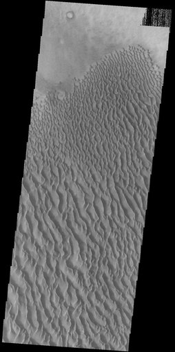 Proctor Crater Dunes