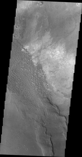 Investigating Mars: Nili and Meroe Paterae