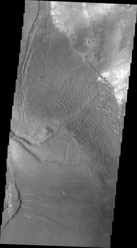Investigating Mars: Nili and Meroe Paterae