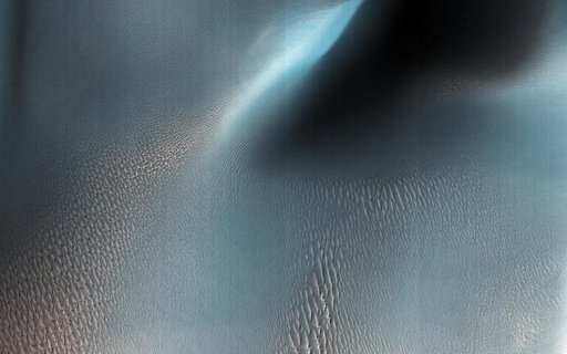 Ripples and Dunes in Proctor Crater