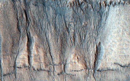 The Evolution of Gully Features in Acidalia Planitia