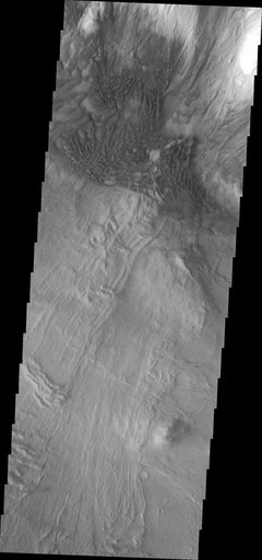 Investigating Mars: Melas Chasma