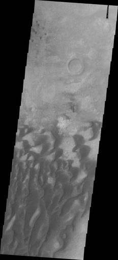 Investigating Mars: Kaiser Crater Dunes