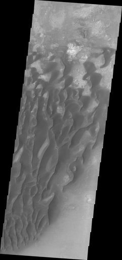 Investigating Mars: Kaiser Crater Dunes