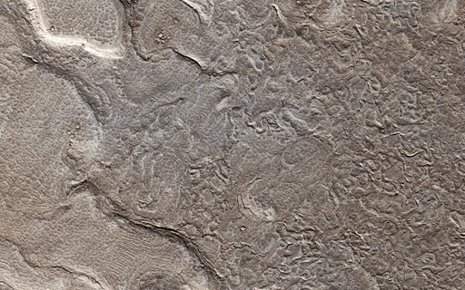 Young Lava Flows