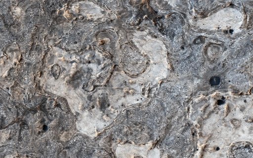 Exploring Meridiani Planum