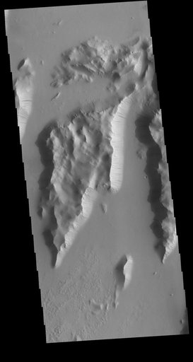 Lycus Sulci