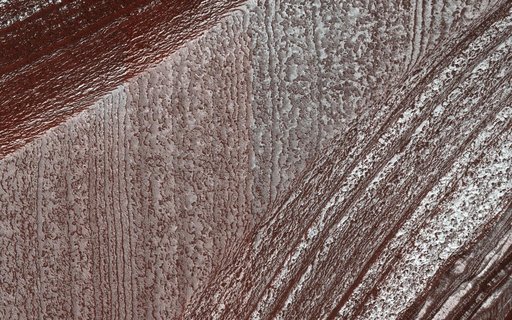 Lingering Frost