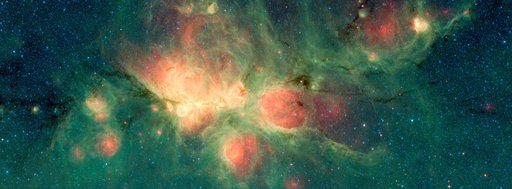 Cat's Paw Image 1