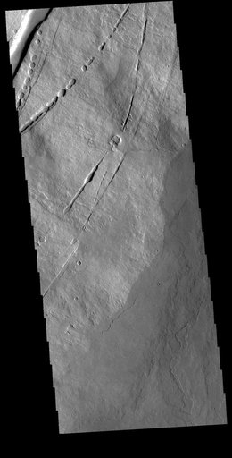 Pavonis Mons