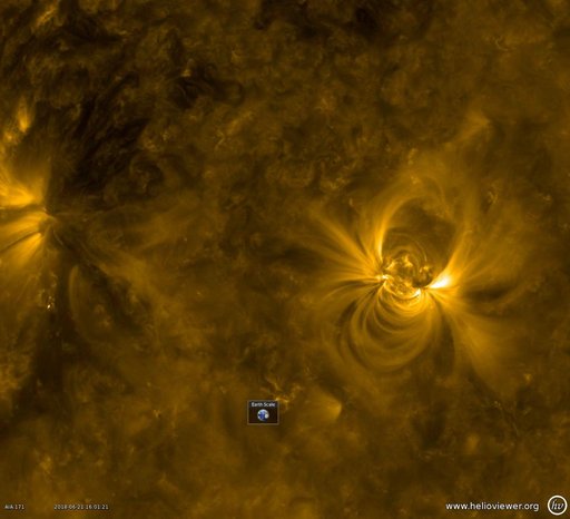 Rambunctious Active Region