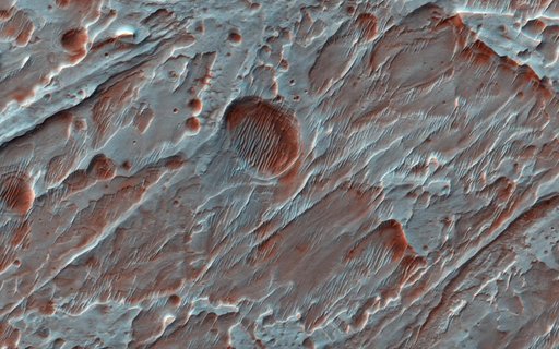 Fans of Roddy Crater