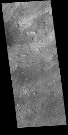Daedalia Planum