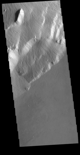 Olympus Rupes