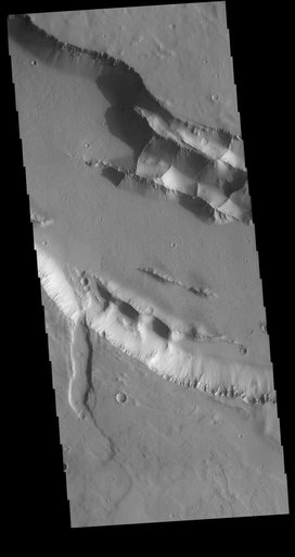 Elysium Fossae