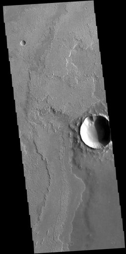 Daedalia Planum