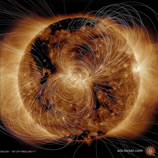 Magnetic Field Portrayed