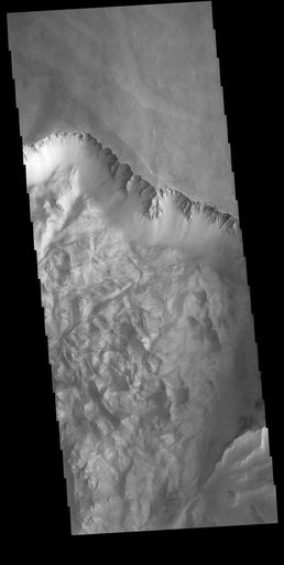 Ophir Labes