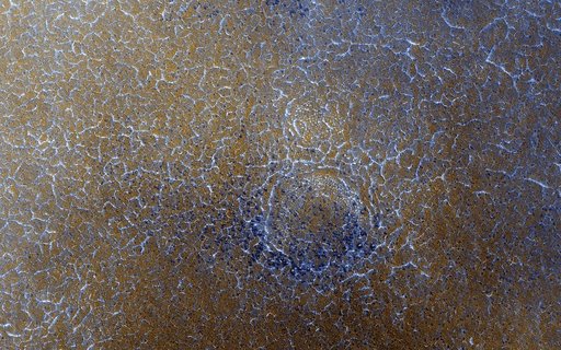 Spring Frost on a Cold World