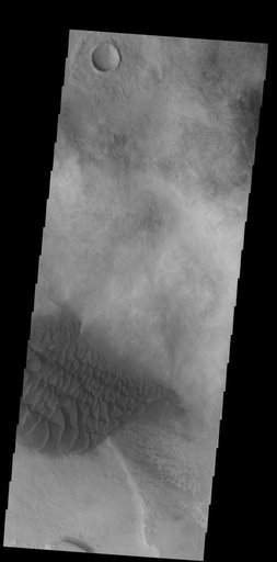 Halley Crater Dunes