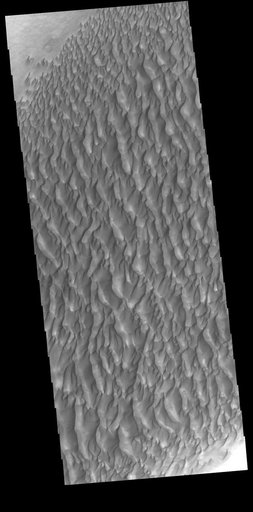 Proctor Crater Dunes
