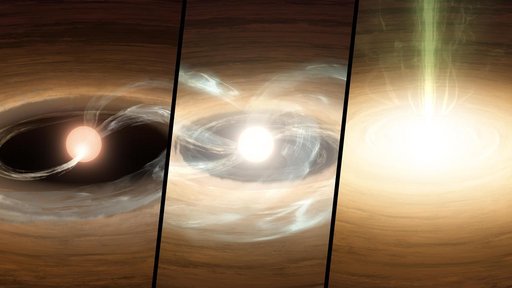FU Orionis Disk Illustration