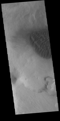 Halley Crater Dunes