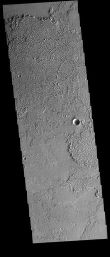 Daedalia Planum