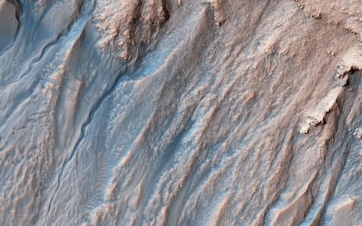 Multi-Elevation Gullies