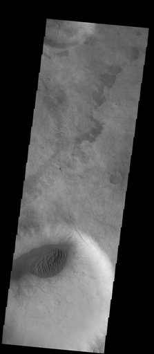 Dunes and Dust Devils