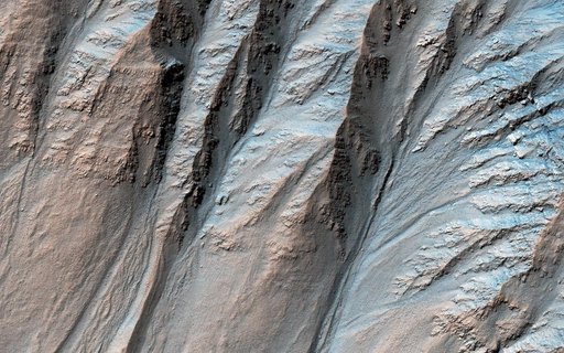 Complex Gullies in a Crater