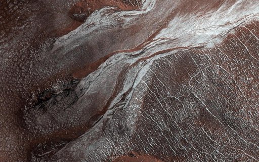 Frost Highlights in the Springtime