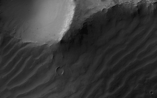 Enigmatic Canyon Dunes