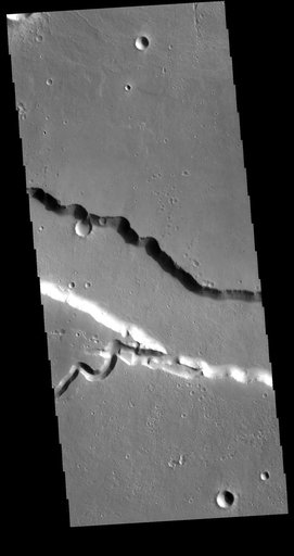 Elysium Fossae
