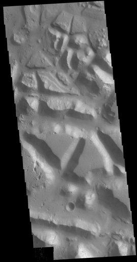 Chryse Chaos