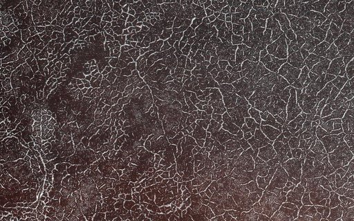 Polygonal Patterns Highlighted by Frost