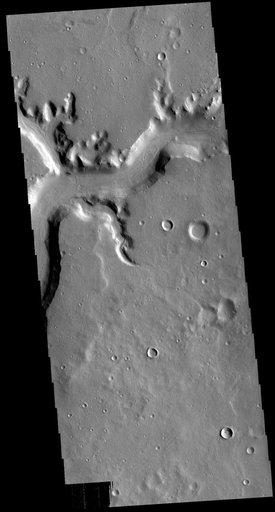 Mamers Valles